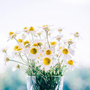 强奸三级片高中女学生在线观看
